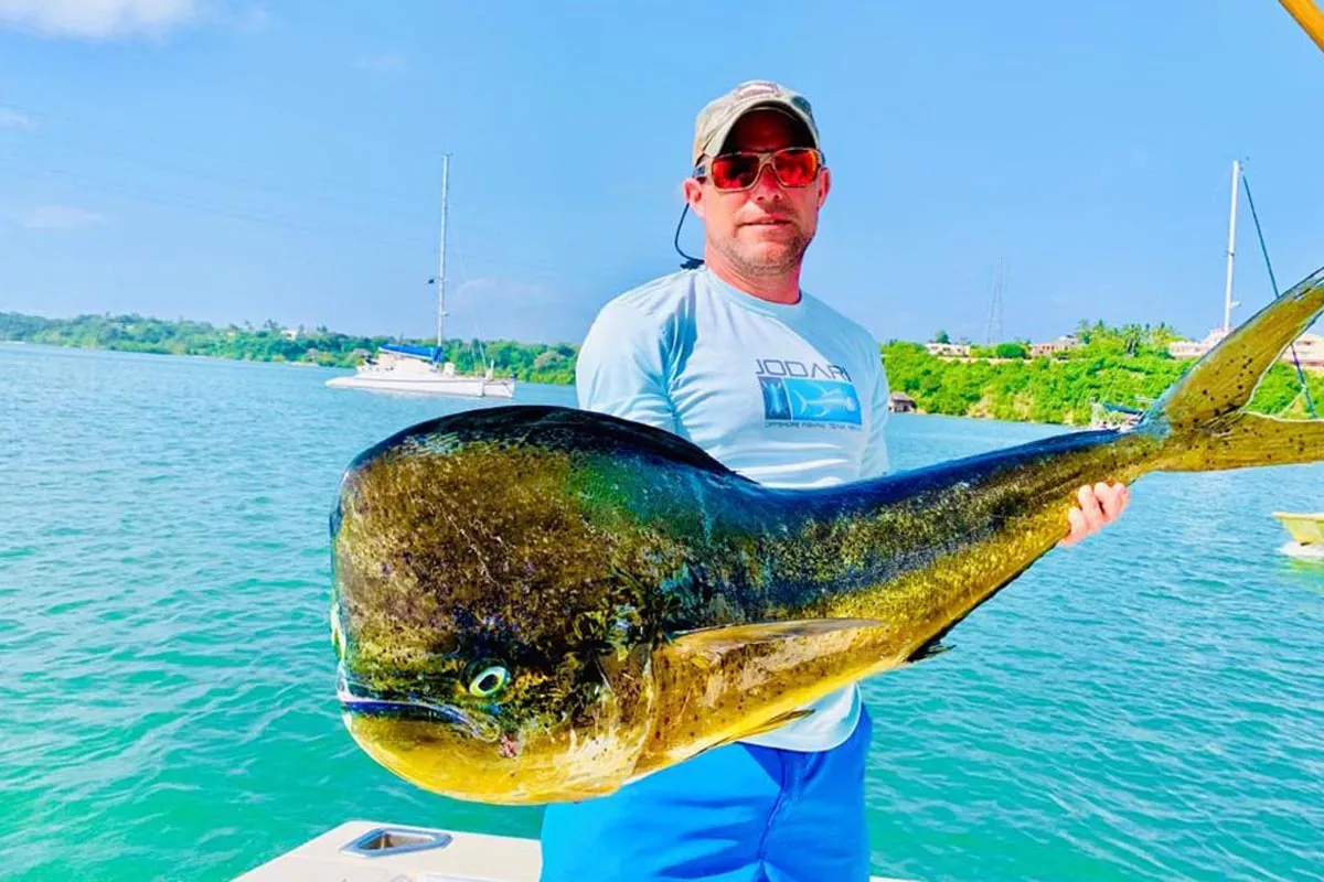 bull mahi mahi caught in the Pacific off of Costa Rica with Colio Sportfishing