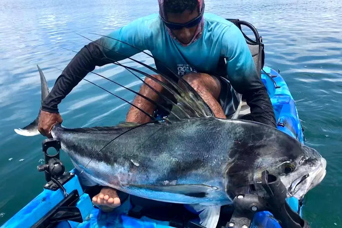 giant roosterfish caught on deep structure in costa rica