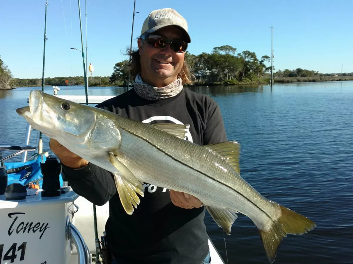 Capt. William Toney holding a clean Homosassa snook