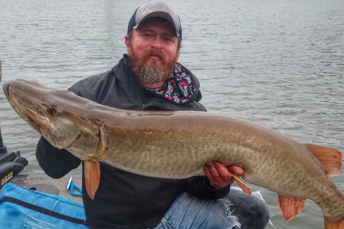 cory allen with a 50 inch muskie  caught in early spring