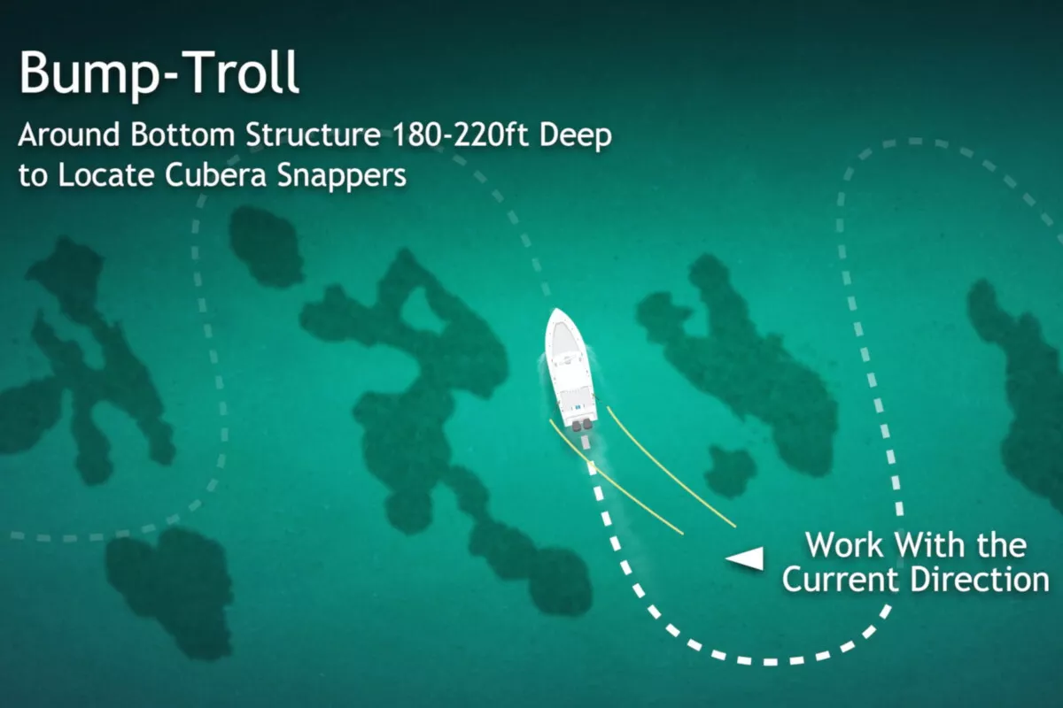 diagram showing how to bump troll wreck or reef structure for cubera snapper