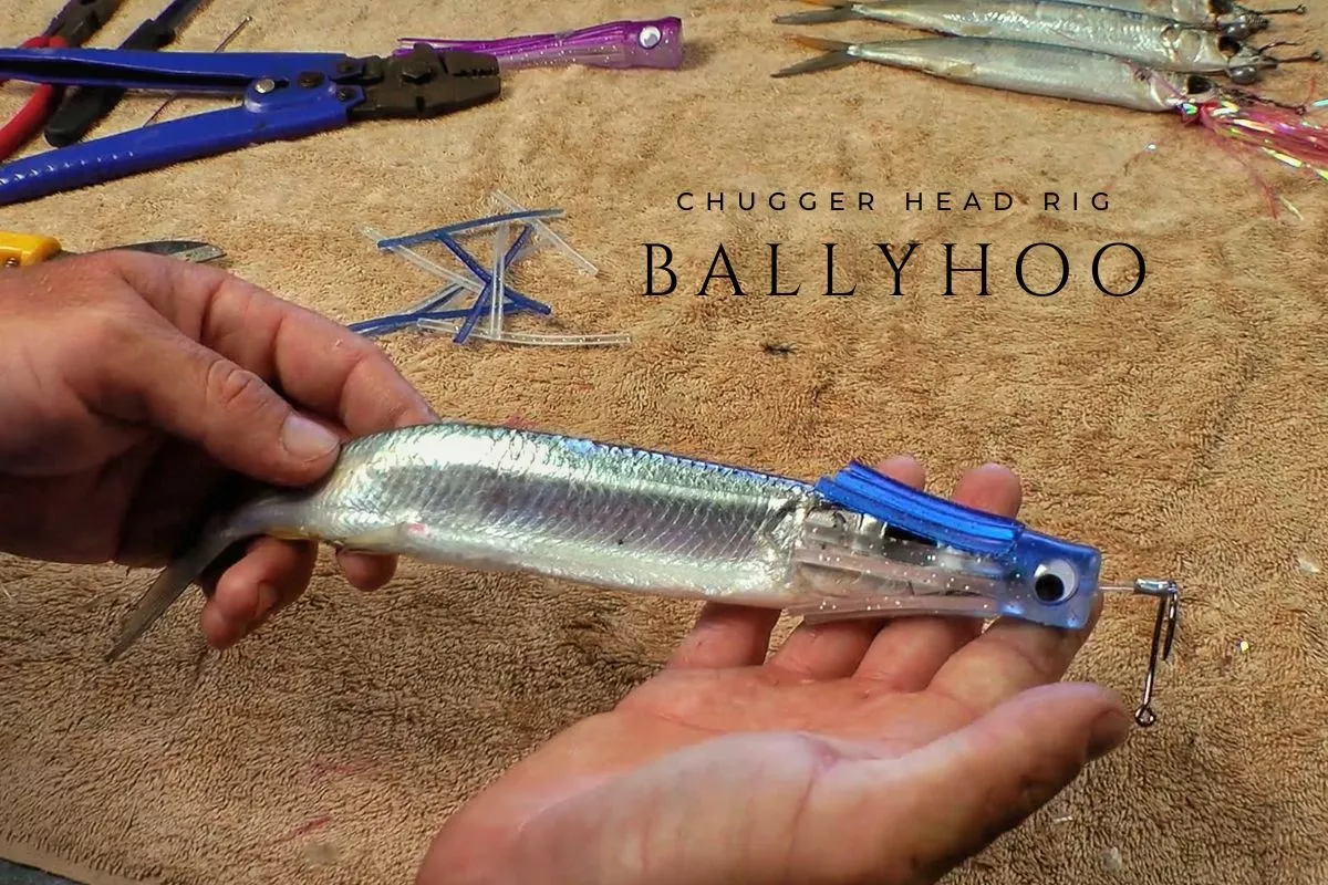 fisherman holds ballyhoo rigged with a chugger head