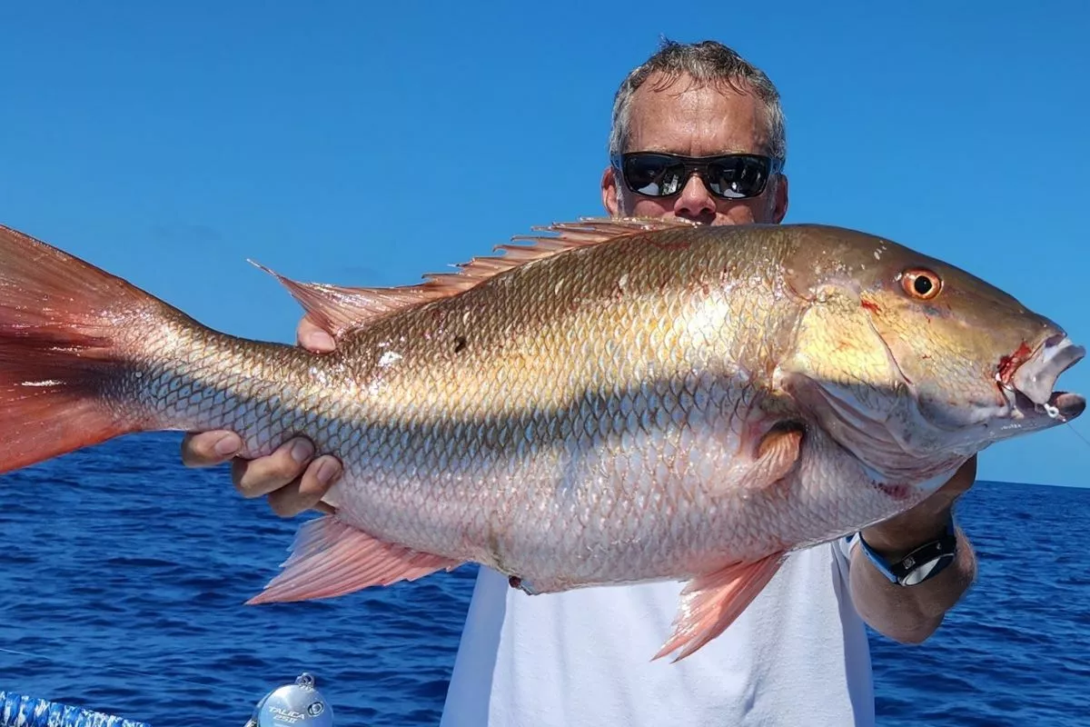 florida keys mutton snapper caught bottom fishing on th tide