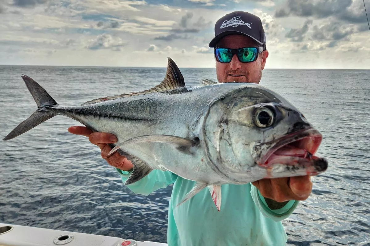 jackfish caught bottom fishing costa rica