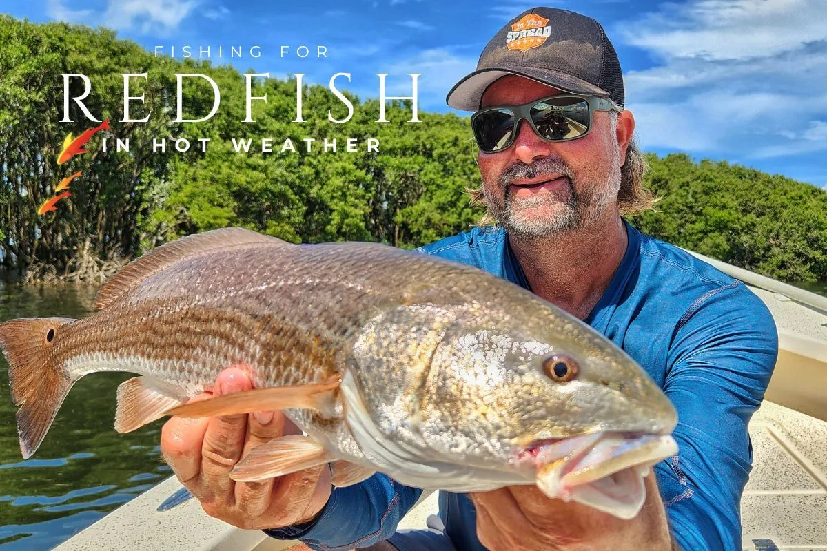 homosassa redfish caught fishing in the August heat by William Toney