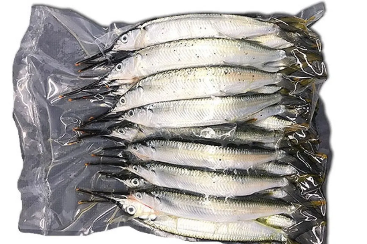 frozen ballyhoo bait