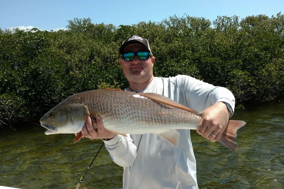 big Florida gulf coast winter redfish