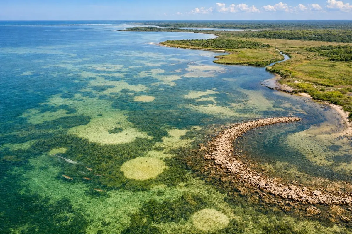 Gulf Coast Grass Flat Structure