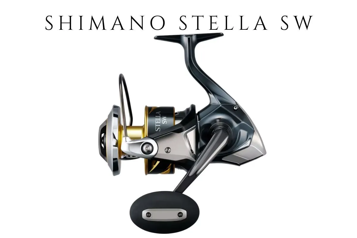 light tackle Shimano Stella SW spinning reel