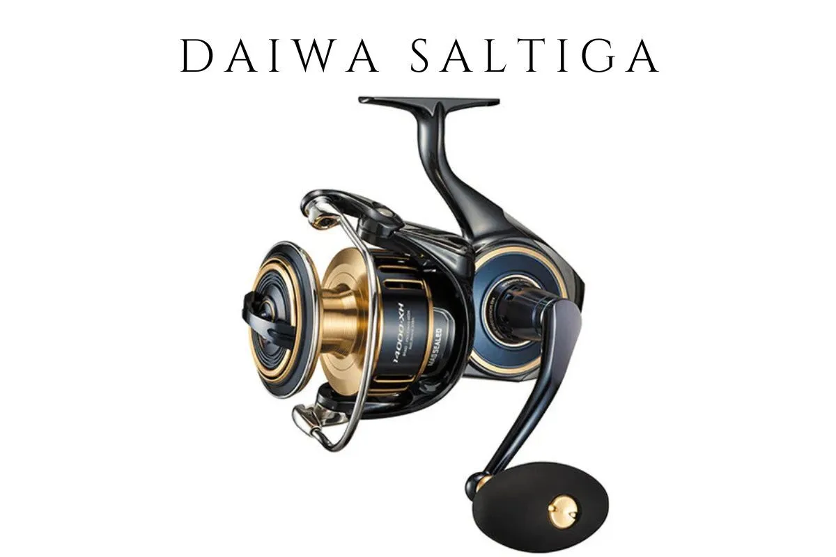 Daiwa Saltiga light tackle spinning reel for offshore fishing