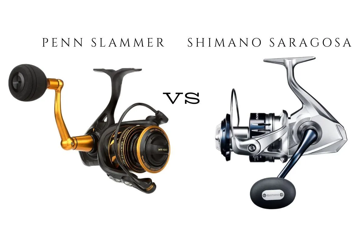 Side-by-side comparison of Saragosa SW 6000 and Penn Slammer IV 5500 spinning reels
