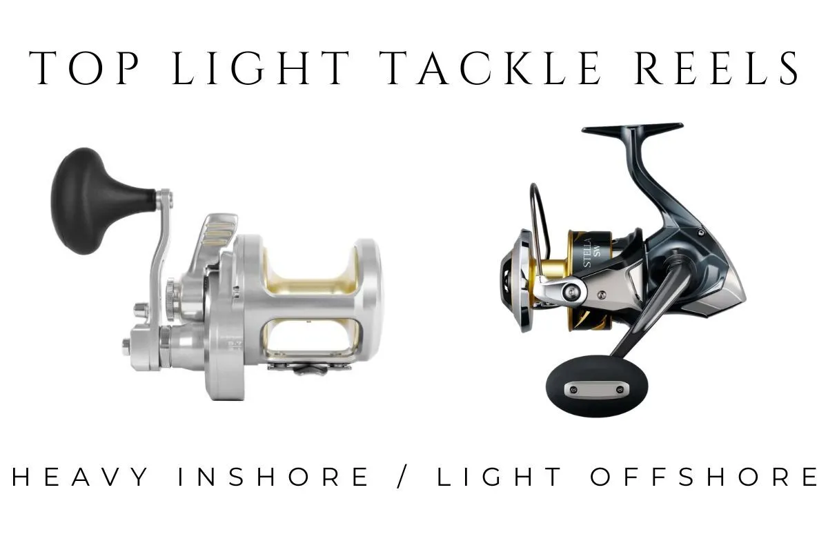 light tackle conventioanl and spinning reels for heavy inshore and light offshore fishing