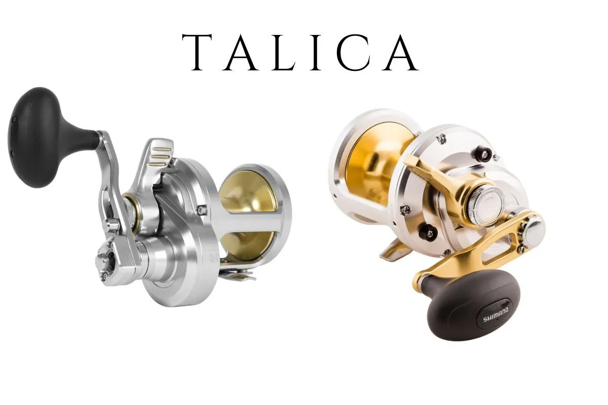 two models of the Shimano Talica series light tackle reels for offshore fishing