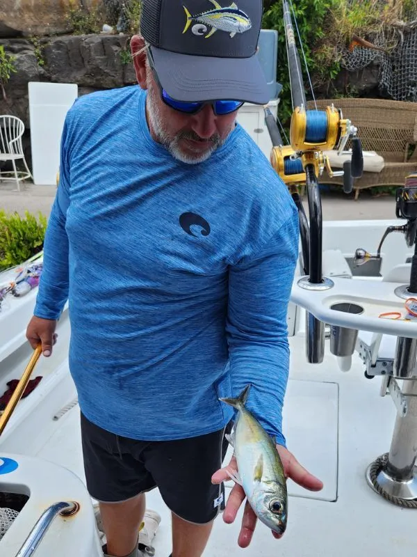 goggle eye used for live bait slow trolling wahoo