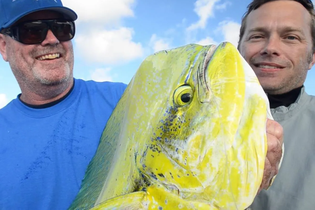 seth horne with a dolphin caught fishing weedlines off of South Florida