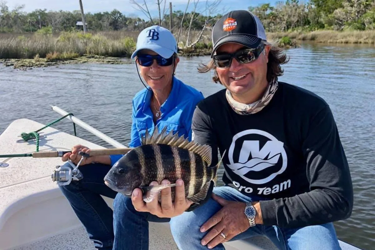 sheepshead caught using proper timing and technique near river structure