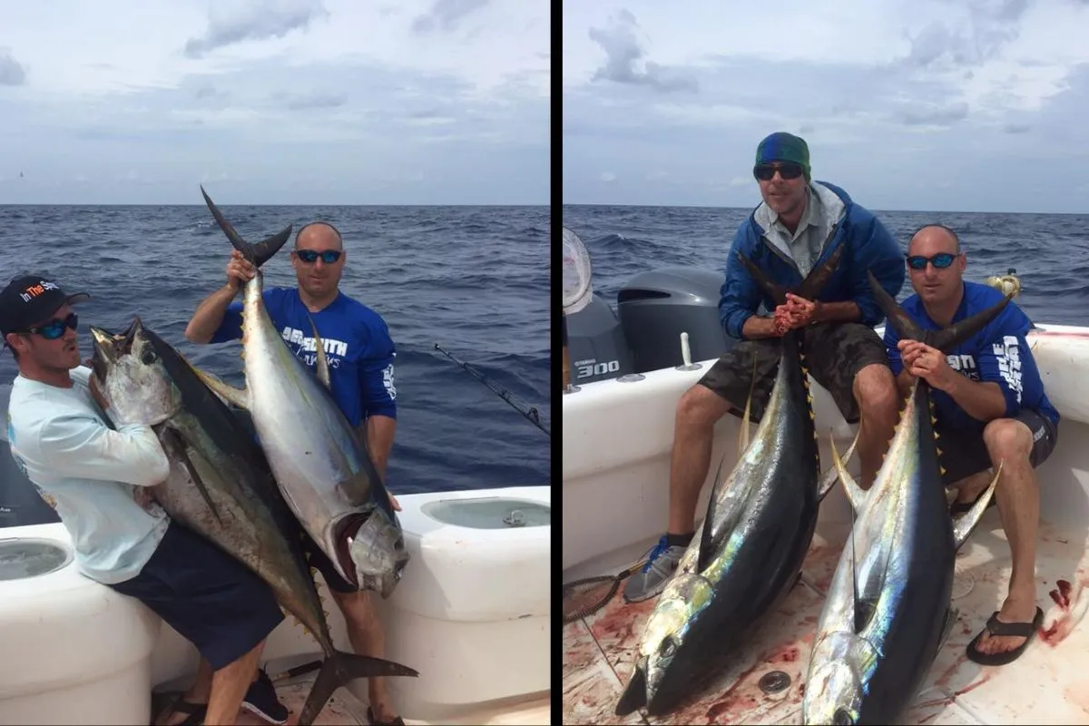yellowfin tuna caught fishing the Gulf of Mexico out of Venice, Louisiana