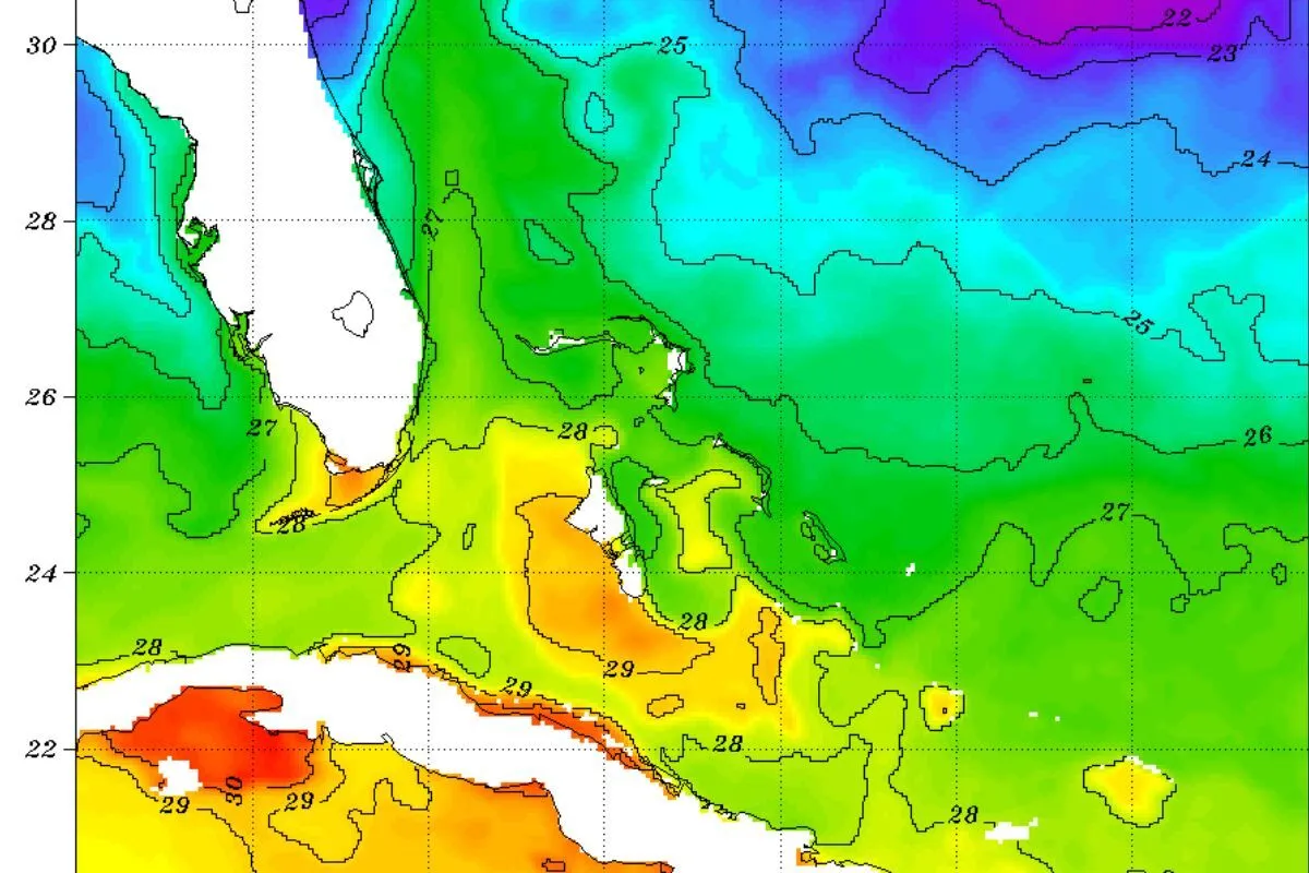 Satellite sea surface temperature map showing Gulf Stream eddies and temperature breaks where wahoo concentrate