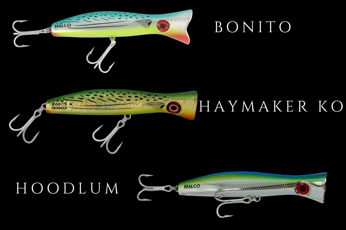 roosta popper surface lures from Halco for roosterfish in bonito haymaker ko and hoodlum
