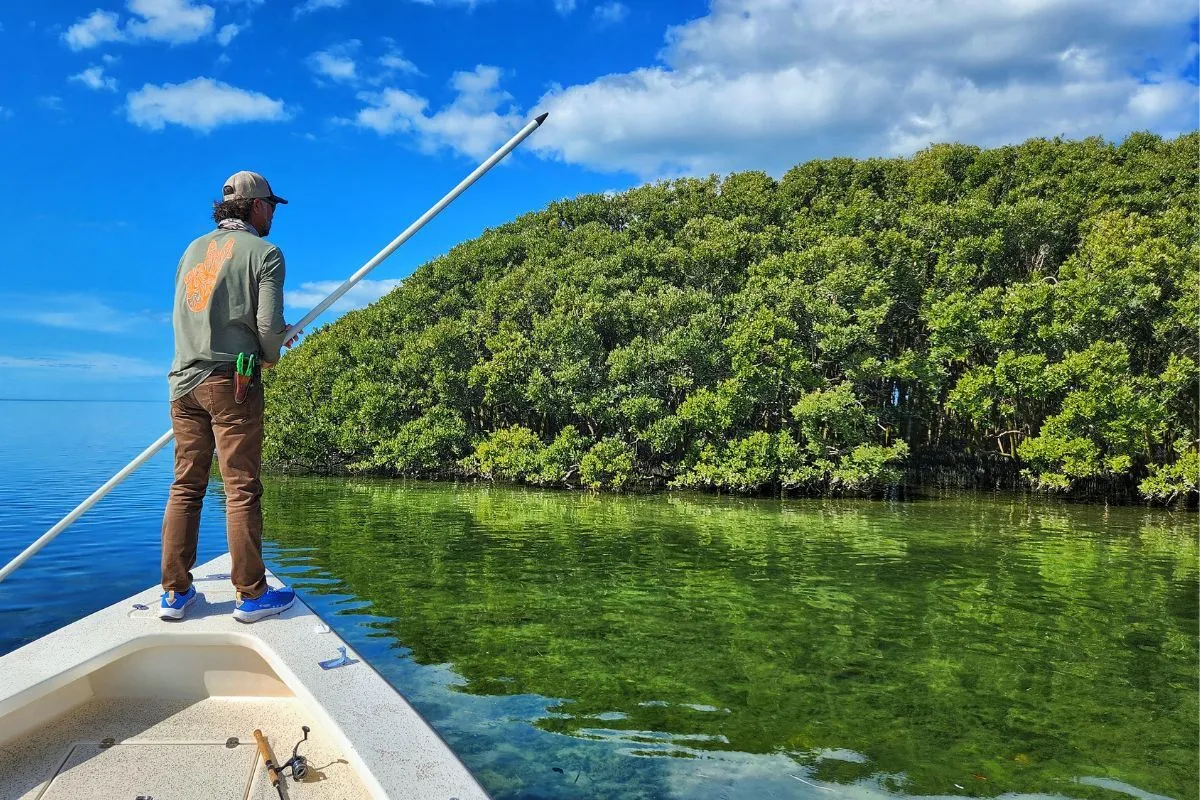 Capt. William Toney poles his boat across mangrove-lined grass flats in Homosassa