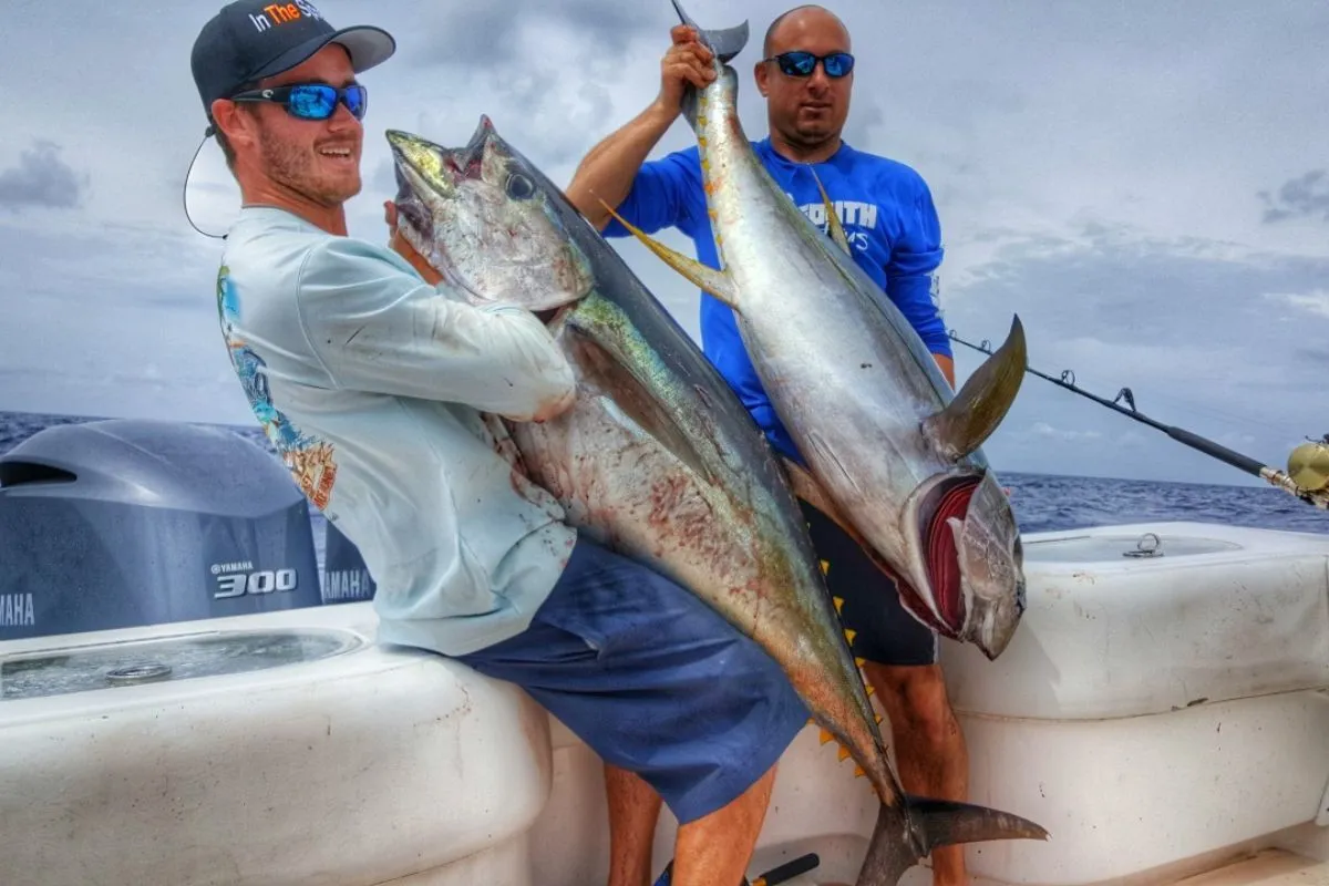 Anglers holding big yellowfin tuna boated offshore out of Venice, Louisiana