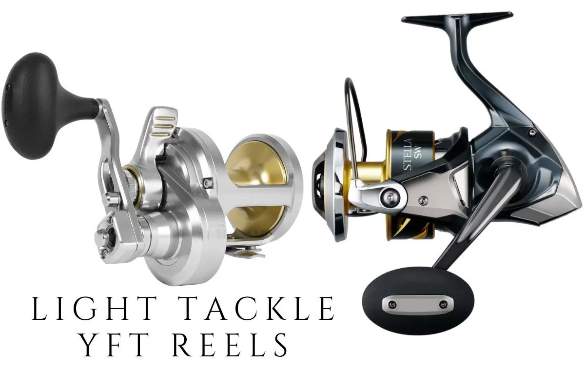 Shimano Talica and Stella for light tackle yellowfin tuna fishing