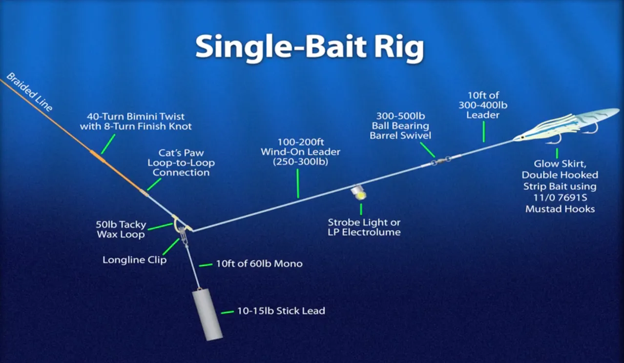 single bait rig for swordfish from braid to wind-on leader to hook