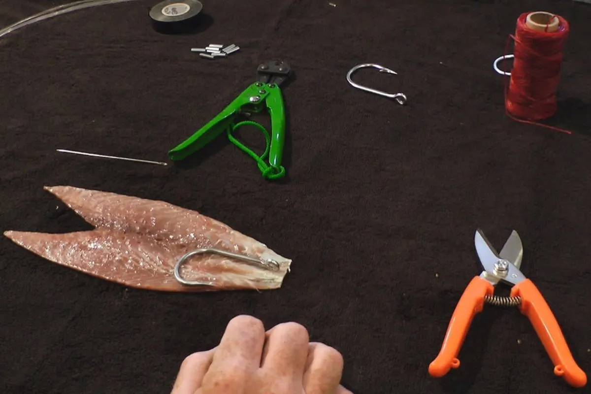 bonito belly being rigged with southern style tuna hook for swordfish bait