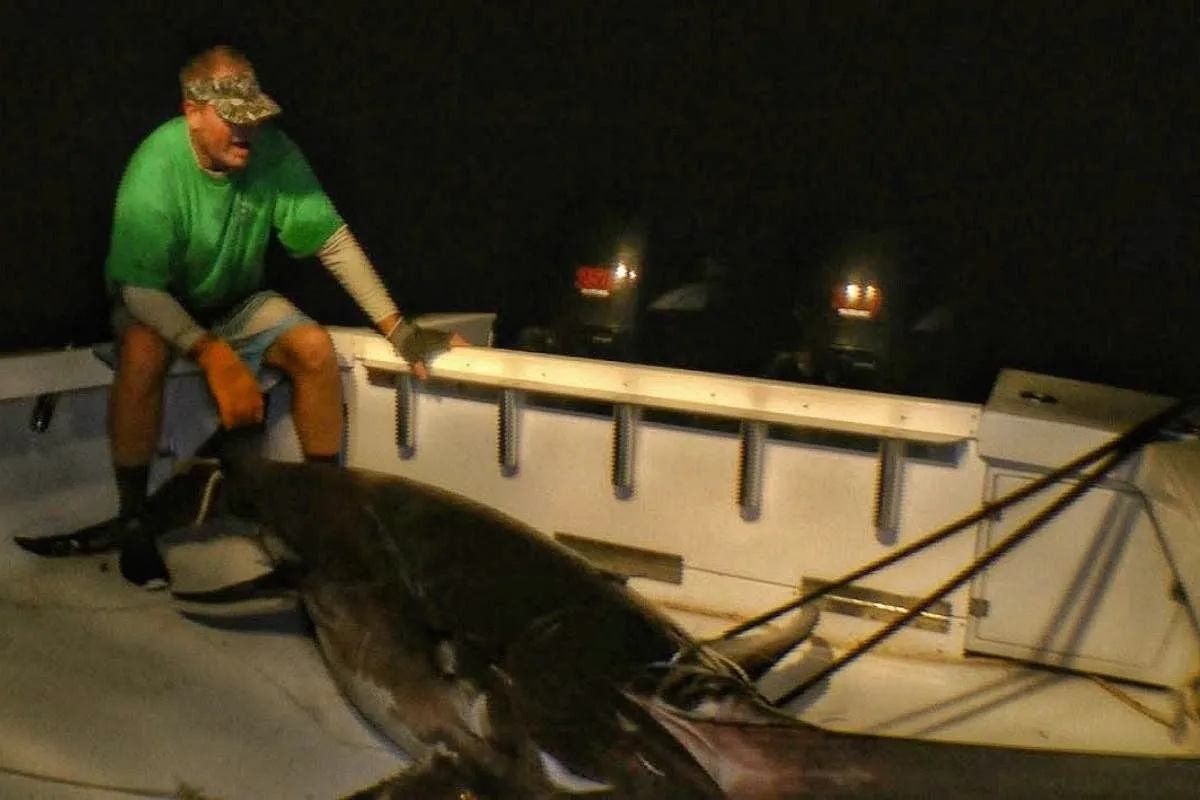 exhausted angler looking at big swordfish caught off Ft. Lauderdale laying in the boat