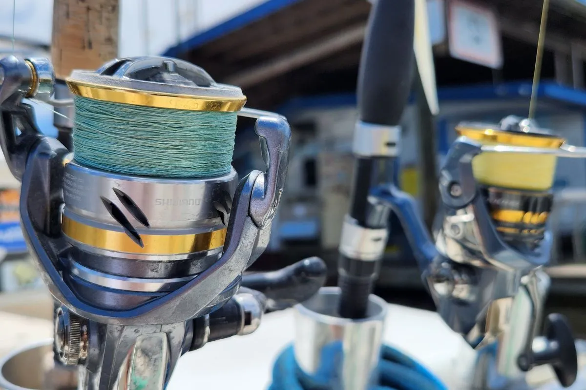 Shimano Ultegra spinning reels for snook fishing on the Nature Coast