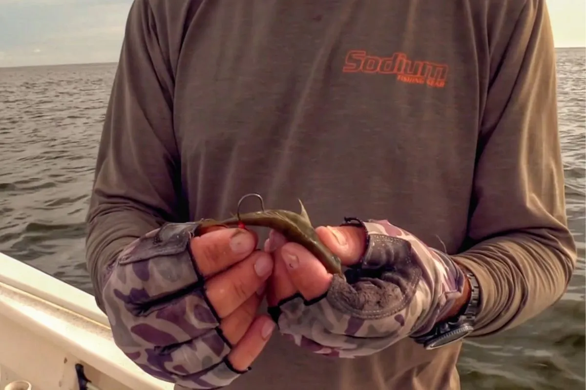 Live pinfish being rigged as bait for redfish on a Florida Gulf Coast flat