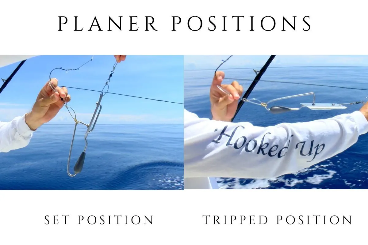 Trolling planer shown in both the diving position and the tripped flat position after a strike