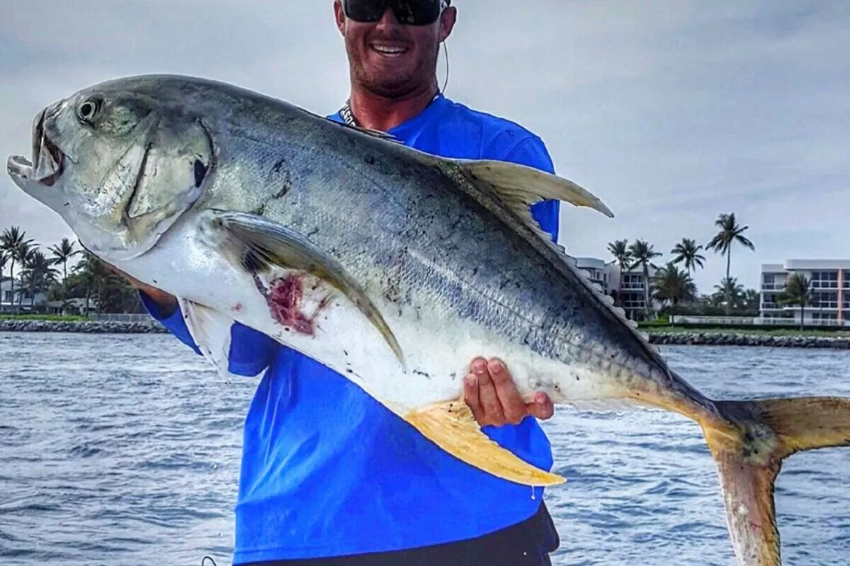 fisherman holding big jack crevalle caught fishing the mullet run near the mouth of th inlet