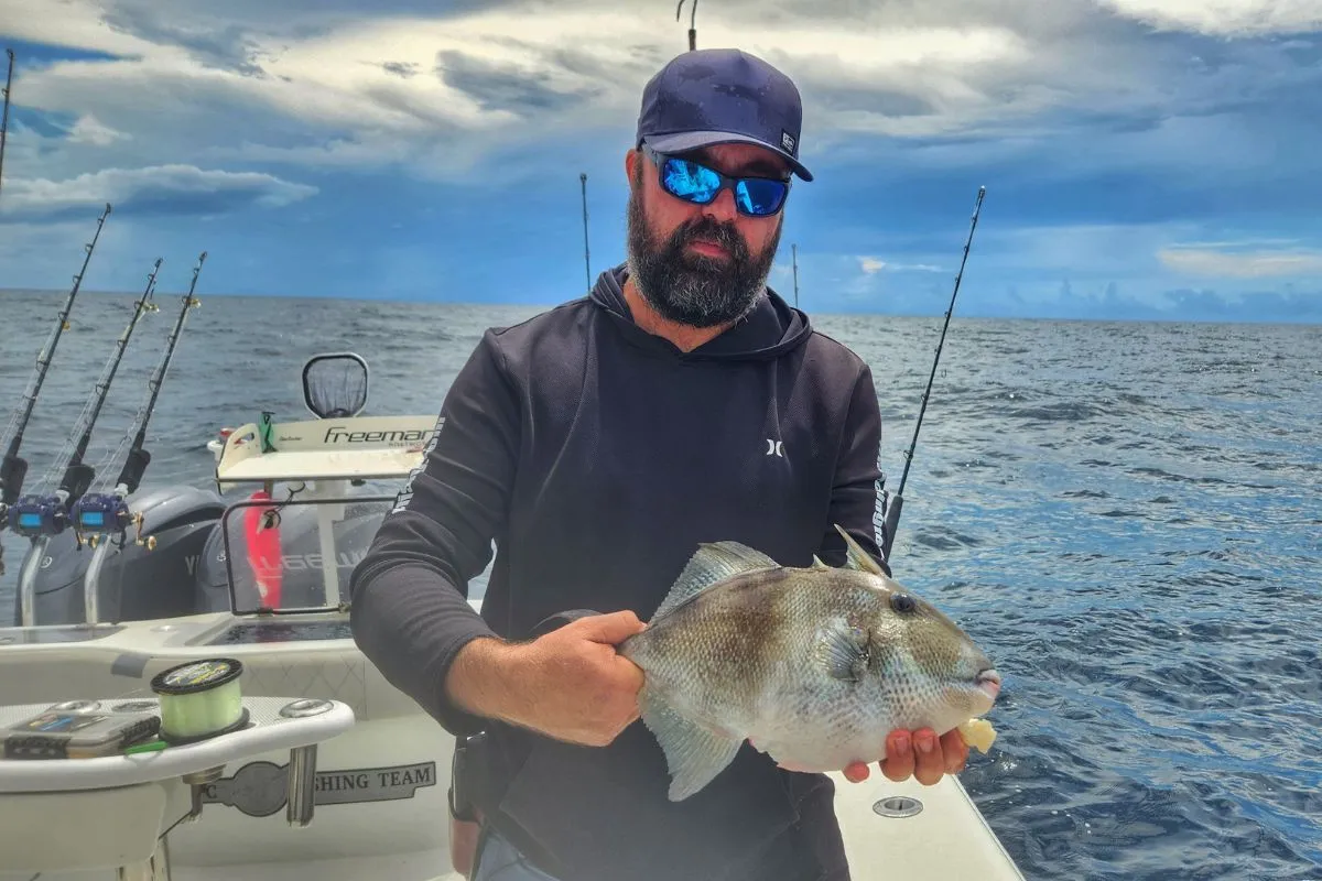 Capt. Vlad Moldoveanu holding a gray triggerfish caught on the Alabama artificial reef system