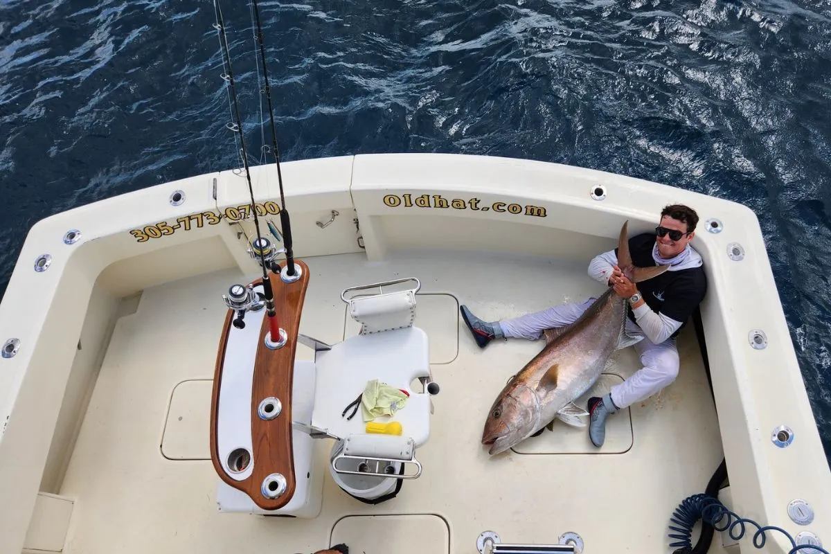 Exhausted angler holding a large greater amberjack caught over a offshore wreck in South Florida