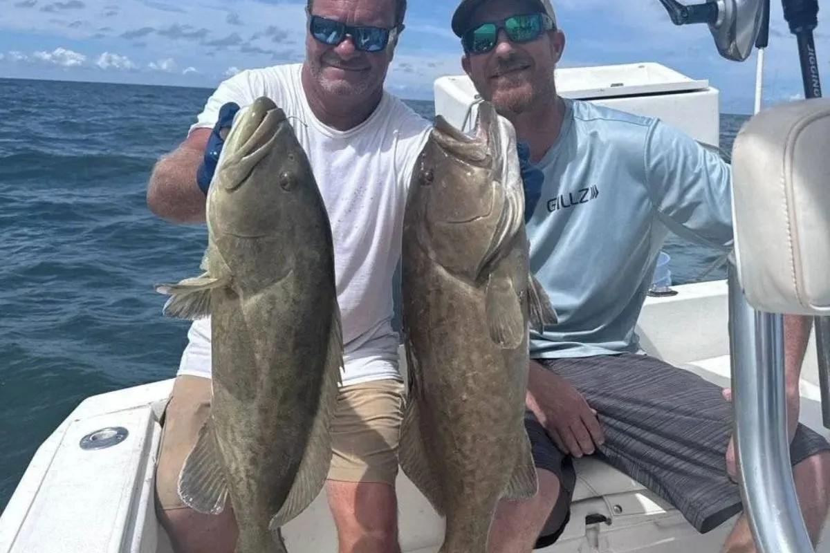 Captain Chris Wilkins, the Grouperman, holding a grouper caught on Nature Coast hard bottom
