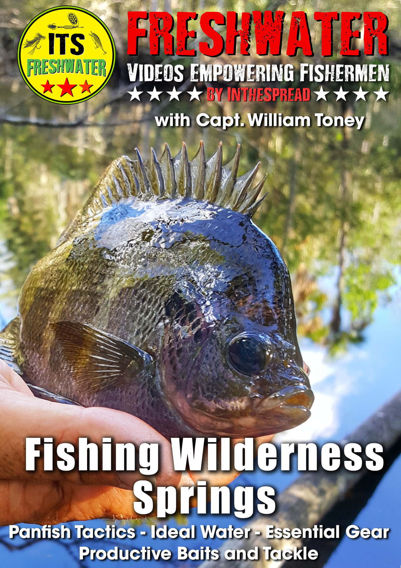 A panfish primer: Freshwater fishing in Florida is a lot more than