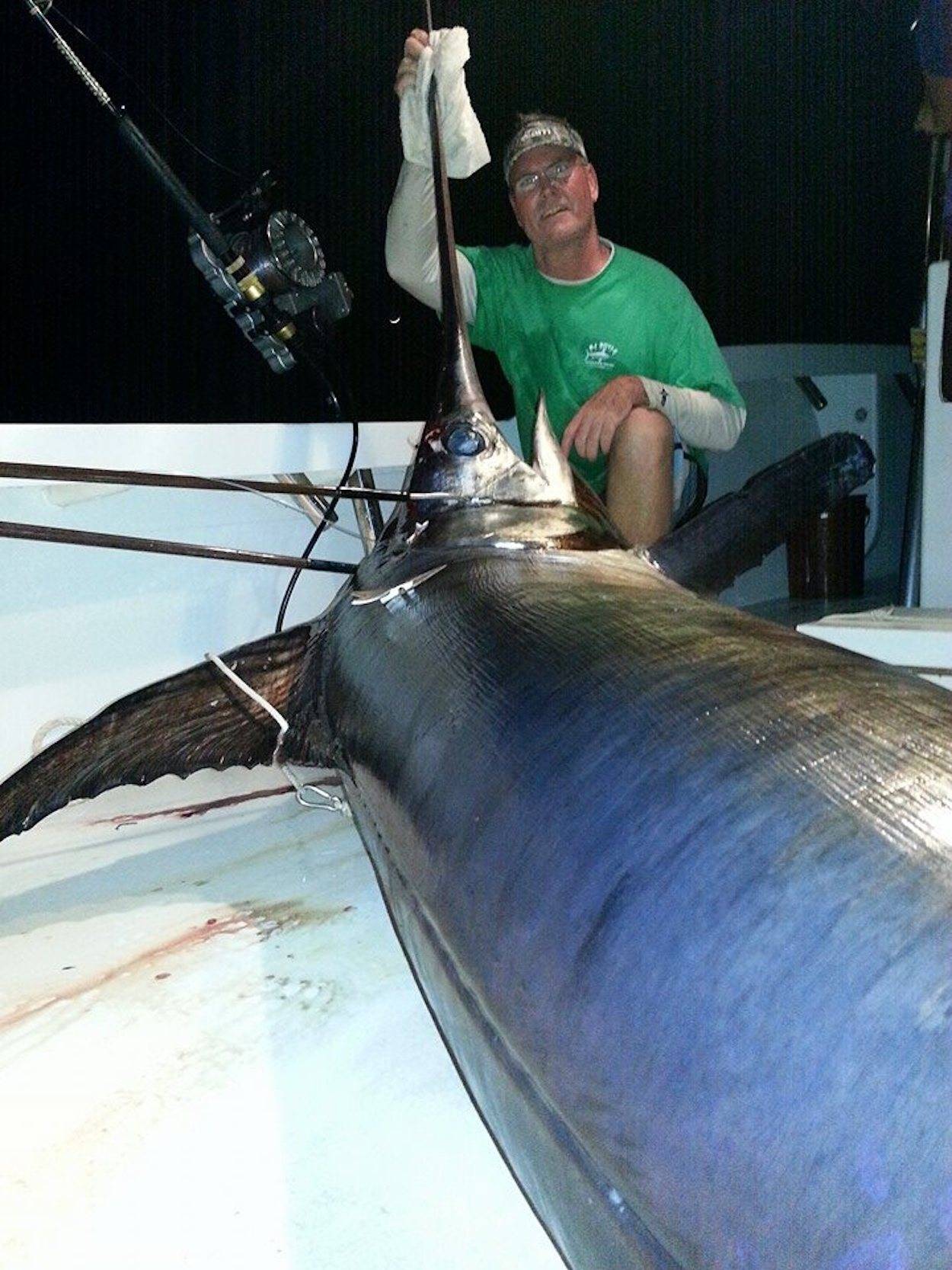 Daytime dropping for broadbill swordfish - The Fishing Website