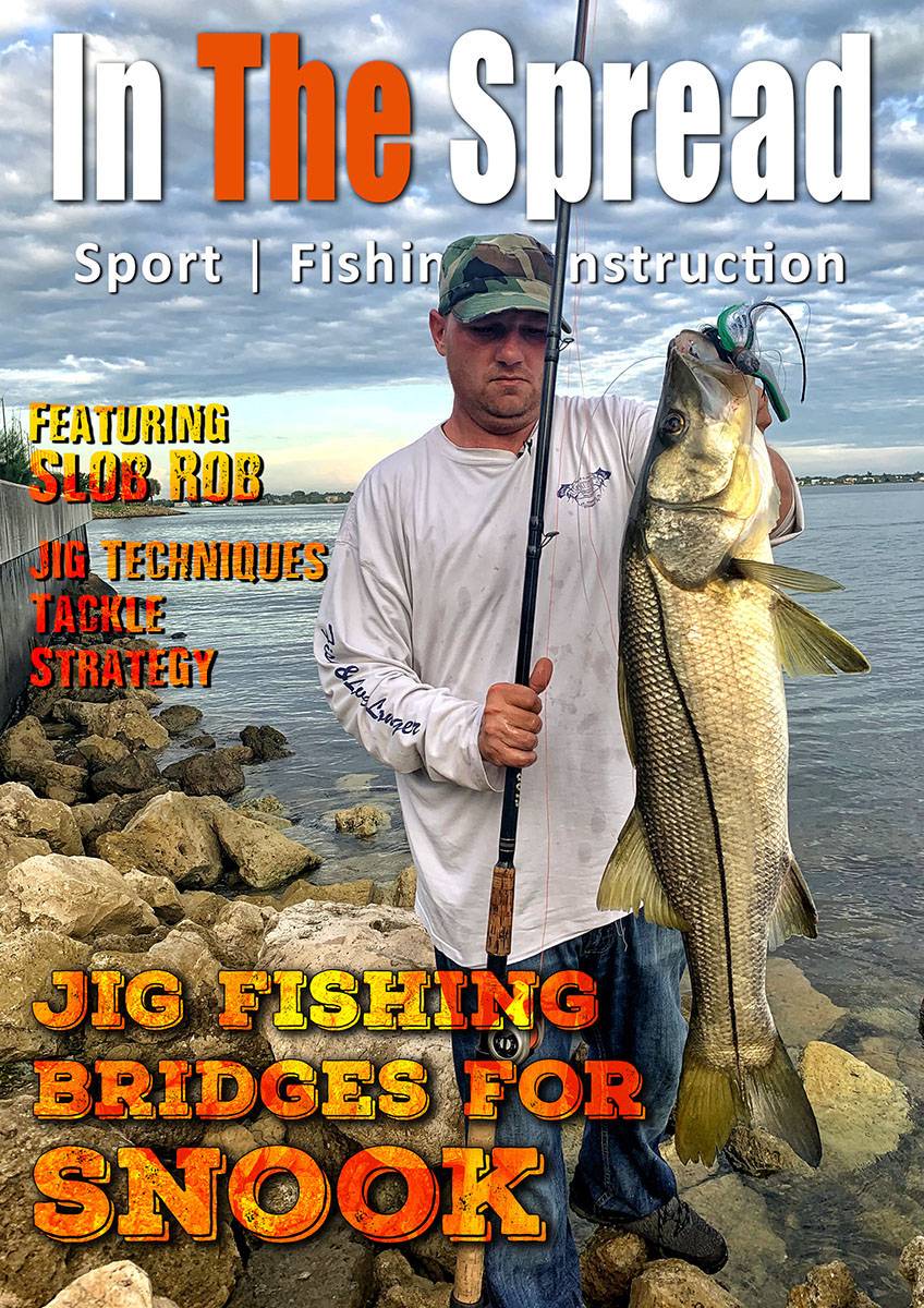 Mastering the Art of Snook Fishing: A Comprehensive Guide