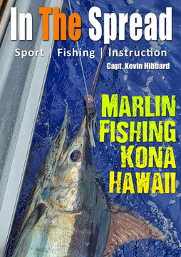Blue Marlin - Fishing Kona
