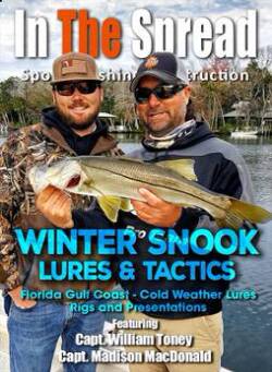 Lure Fishing Techniques for Winter Snook
