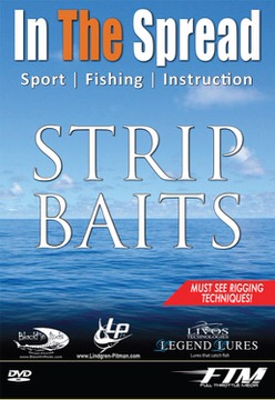 Bait Rigging - Strip Baits for Saltwater Fishing