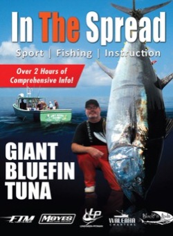 Bluefin Tuna Fishing Video