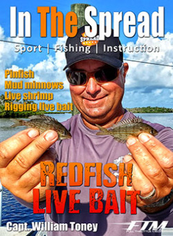 Redfish Live Bait