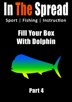 Bait Rigging Chart 5 - Dolphin