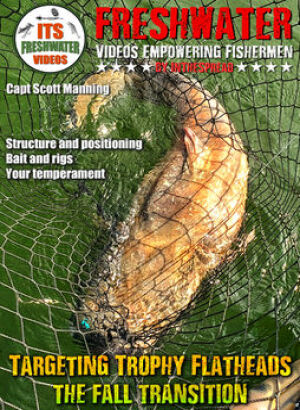 Targeting Trophy Flathead Catfish