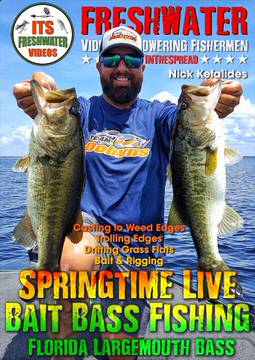 Largemouth Bass - Florida Live Bait PreSpawn