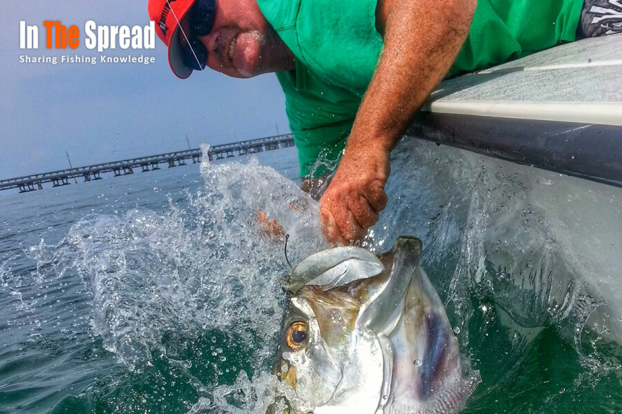 Tarpon Fishing