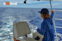 Kevin Hibbard scanning the lure spread while teaching Boat Driving for marlin fishing