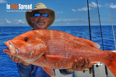 Bottom Fishing Red Snapper